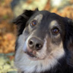 Meet your Posher, Eve